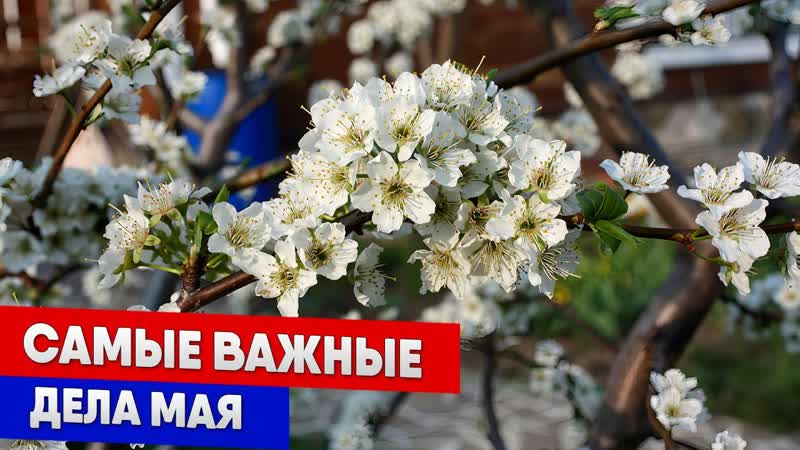 Самые важные дела