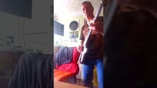 Новая гитара спугнула кота! #shorts #guitar #гитара #кот
