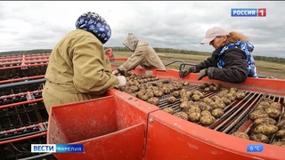В Заксобрании прошло заседание комитета по агропромышленной политике, природопользованию и экологии