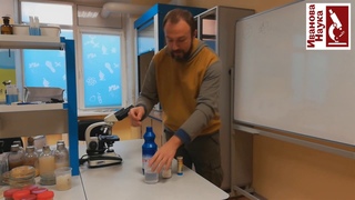Перестаньте обливать кусты кипятком! Простое, дешевое и суперэффективное средство.