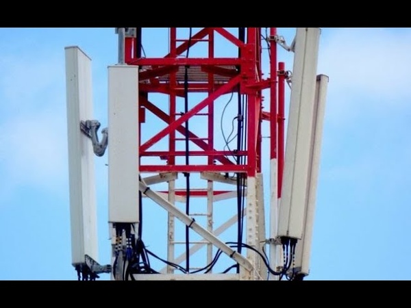 СМИ: Российский 5 G в Ленинградской области мешает военным