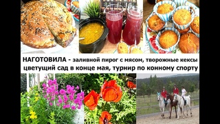 НАГОТОВИЛА НА  2 ДНЯ - вкусные,бюджетные рецепты, выпечка. Прогулка по цветущему саду! Наш выходной!