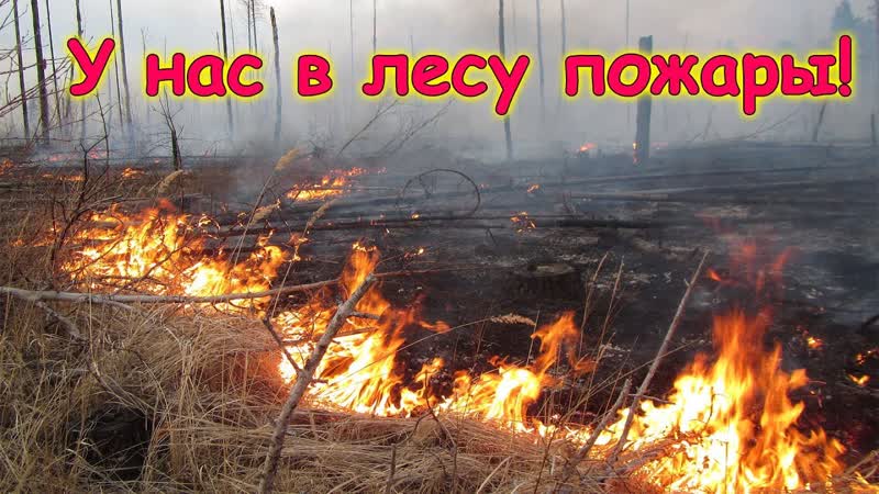 У нас были пожары возле села Семья