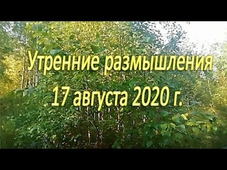 Утренние размышления. 17 августа 2020 г.