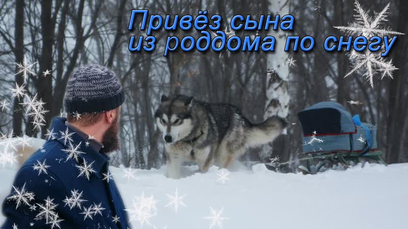 Как я забирал жену из роддома. Новые жильцы в