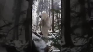 КВИНКА СЛОУМО #рекомендации  #ЙЕТИ