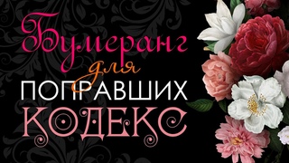 1064 🌸 81 🕷️🕸️🕷️ КТО ВРАГ 👎💥 БУМЕРАНГИ ПОД ПЕЧАТЯМИ РАВНОВЕСИЯ ВСЕЛЕННОЙ | EXSRPESS TAROT #бумеранг