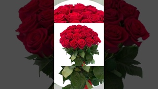 Rozele