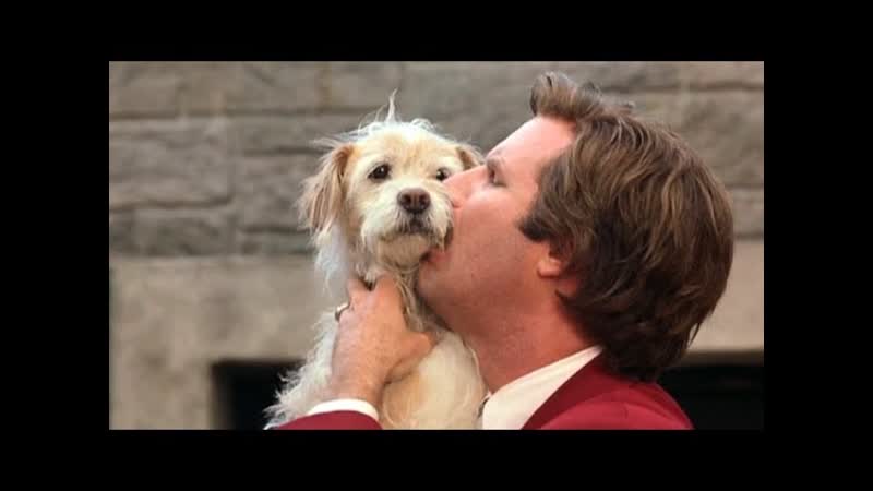 Top 10 Live Action Movie