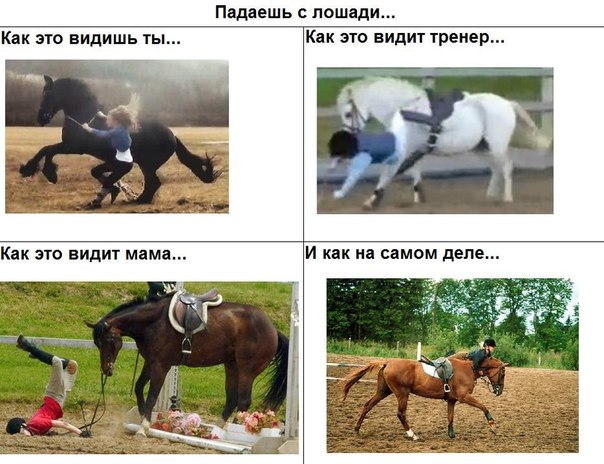 воздушная нежная стихи про конный спорт до слез был успех