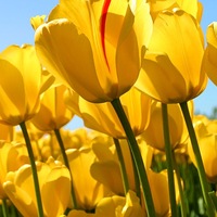 Маша Иванова | Магнитогорск