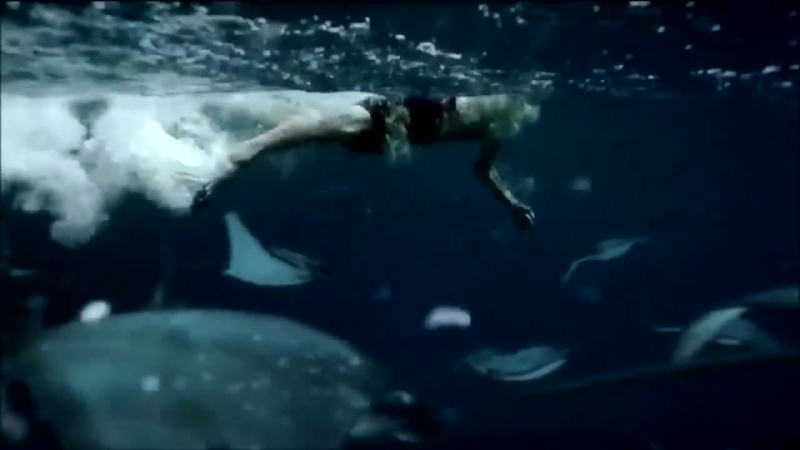 Swimmer Ryan