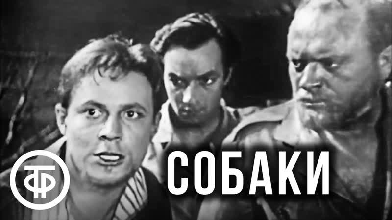 Собаки. Телеспектакль по произведению Тоне Брулина