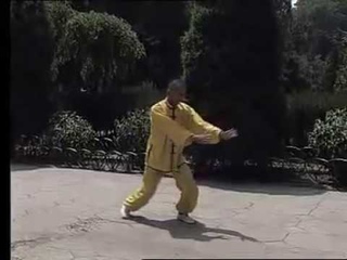 Shanxi Xing Yi quan Xin Yi 山西形意拳   心意拳  Part 5