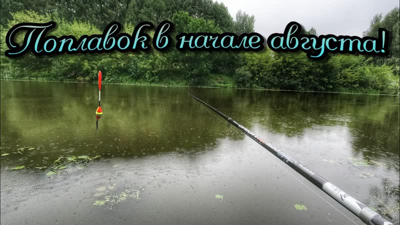 РЫБАЛКА У ДОМА ПОСЛЕ ДОЖДЯ ОДНА ЗА ОДНОЙ НА ПЕРЛОВКУ ТОЛЬКО