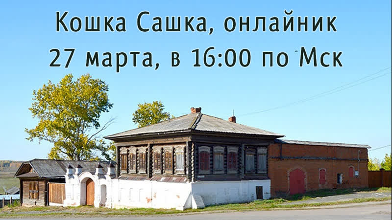 Кошка Сашка.