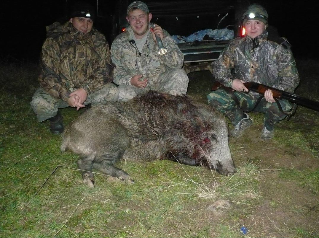 Павел Косолапов | Киров