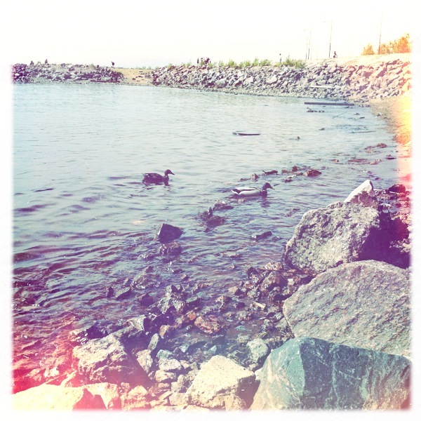 №67, Анастасия Королева, Санкт-Петербург №67, Анастасия Королева, Санкт-Петербург