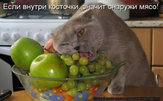 Марина Буштец | Донецк
