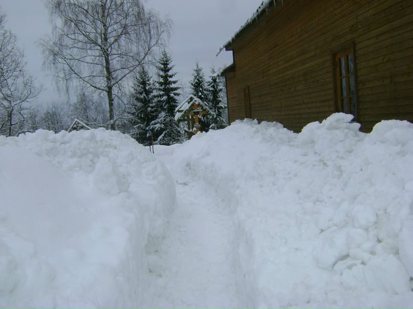 Татьяна Еремеева | Березники