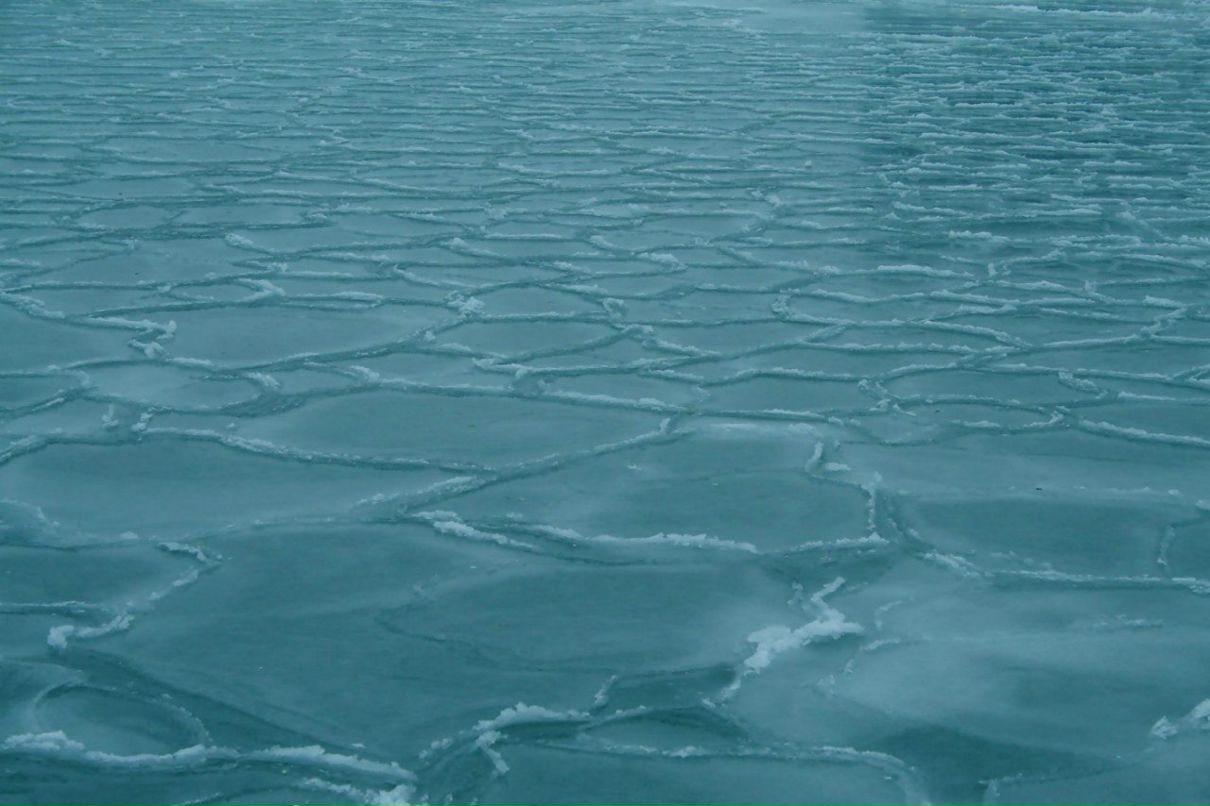 Надежда Иллюк ღ IceFlower ღ | Одесса