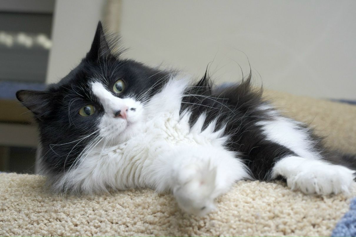 Катерина Uma rock♥n♥heart | Санкт-Петербург