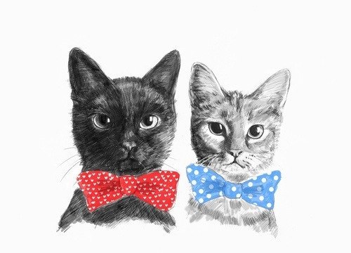 Дарина Касперская | Пенза