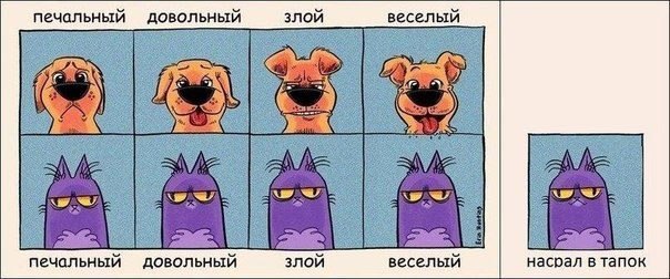№11, Александра Кадурина, Киев №11, Александра Кадурина, Киев