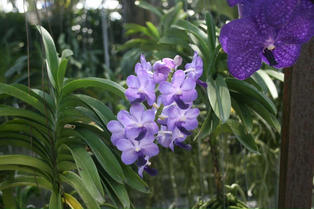 Сергей Наранек | Москва