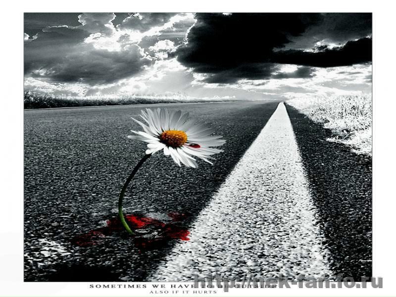 №88, Вова Поліщук, Тальное №88, Вова Поліщук, Тальное