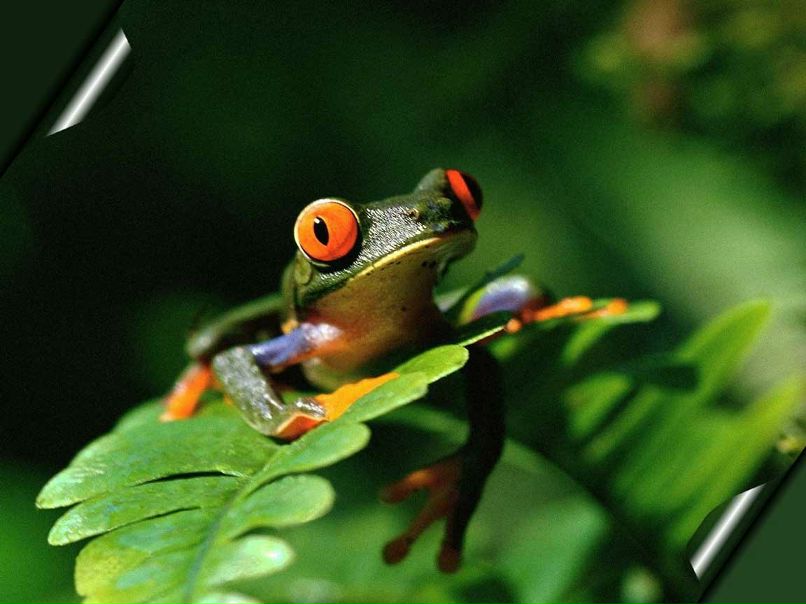 Виктория Александрова Владимировна | Апатиты