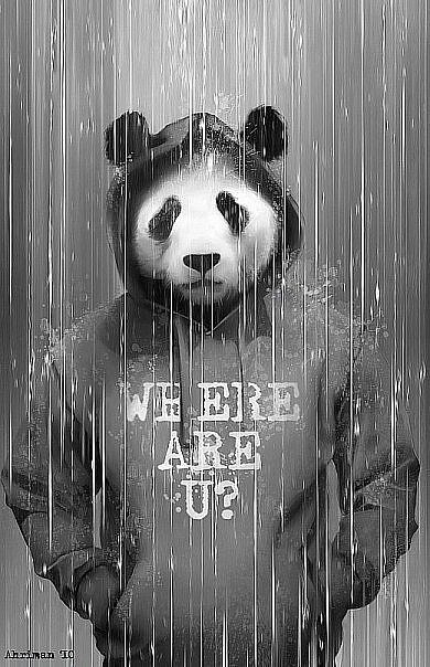 Павел Соломенников | Ижевск