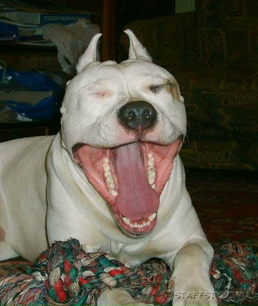 №127, Андрей Николаев, 35 лет, Ростов-на-Дону №127, Андрей Николаев, 35 лет, Ростов-на-Дону