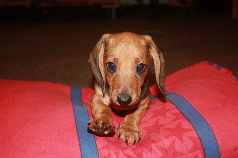 Тёма Макеев | Москва