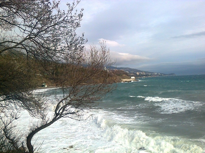 Николай Бугайчук | Николаев