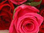 Мария Шалашова | Чернигов