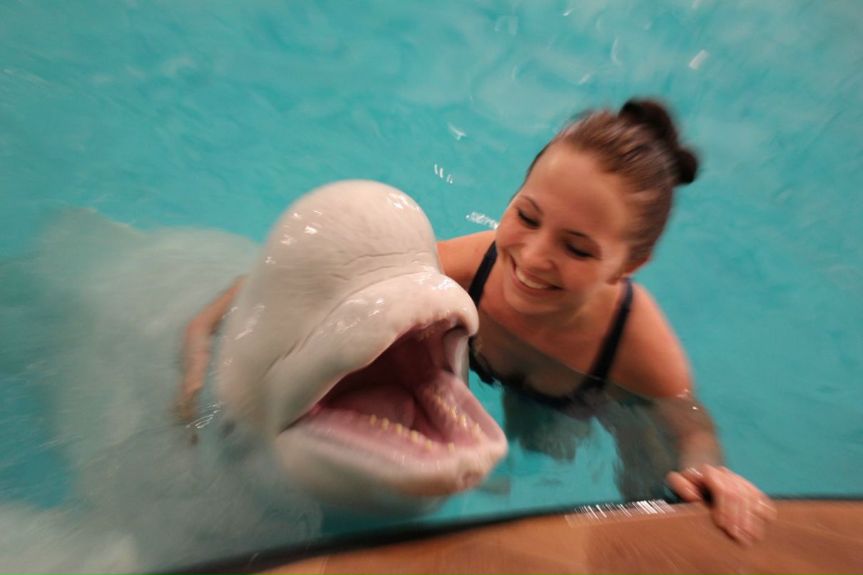 Алла Крамских | Москва