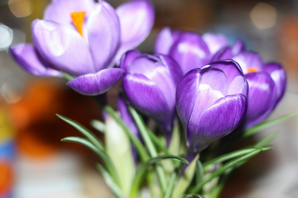 Dasha Volobueva | Харьков