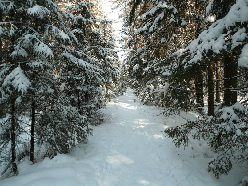 Наталья Реброва | Балашиха