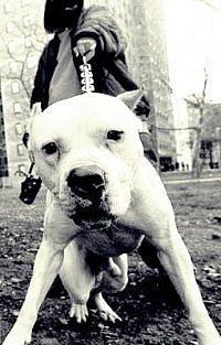 №57, Игорь Самарец, 35 лет, Днепр (Днепропетровск) №57, Игорь Самарец, 35 лет, Днепр (Днепропетровск)