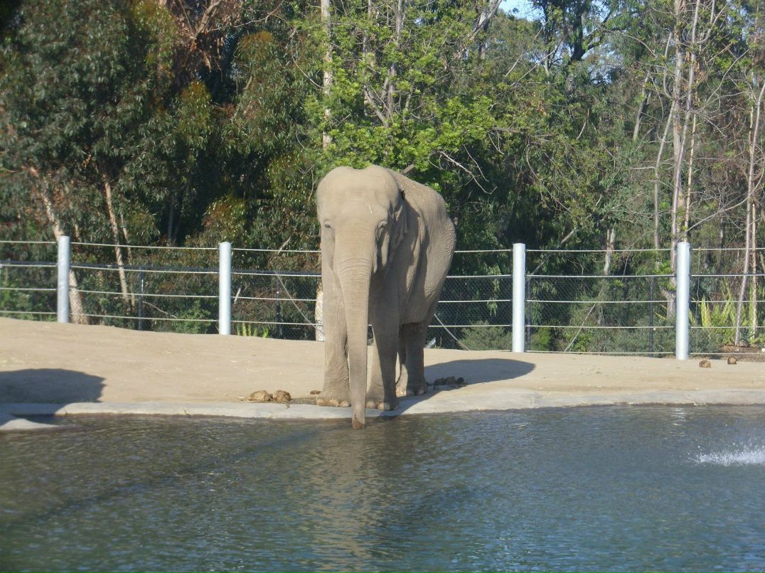 Alexandr Oseev | Magdeburg