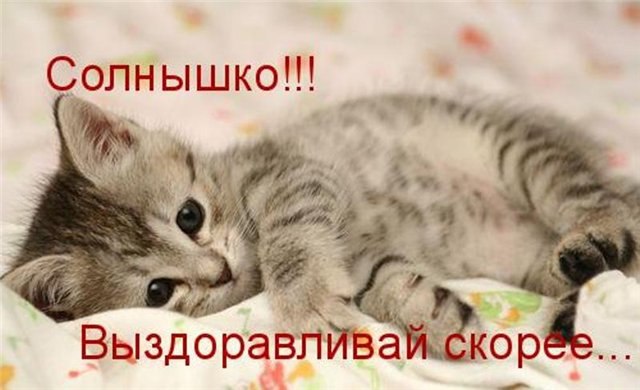 Александр Вылегжанин | Киров