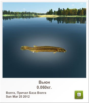 Лёха Полунин | 