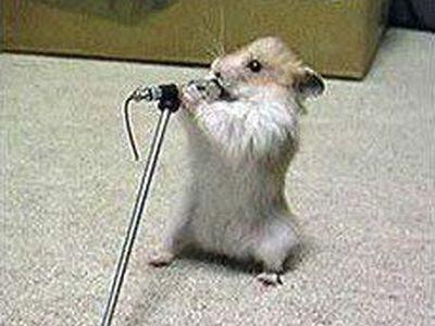 №99, Андрей Лисовский, 36 лет, Киев №99, Андрей Лисовский, 36 лет, Киев