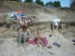 Юлия Панкратьева фотография #27