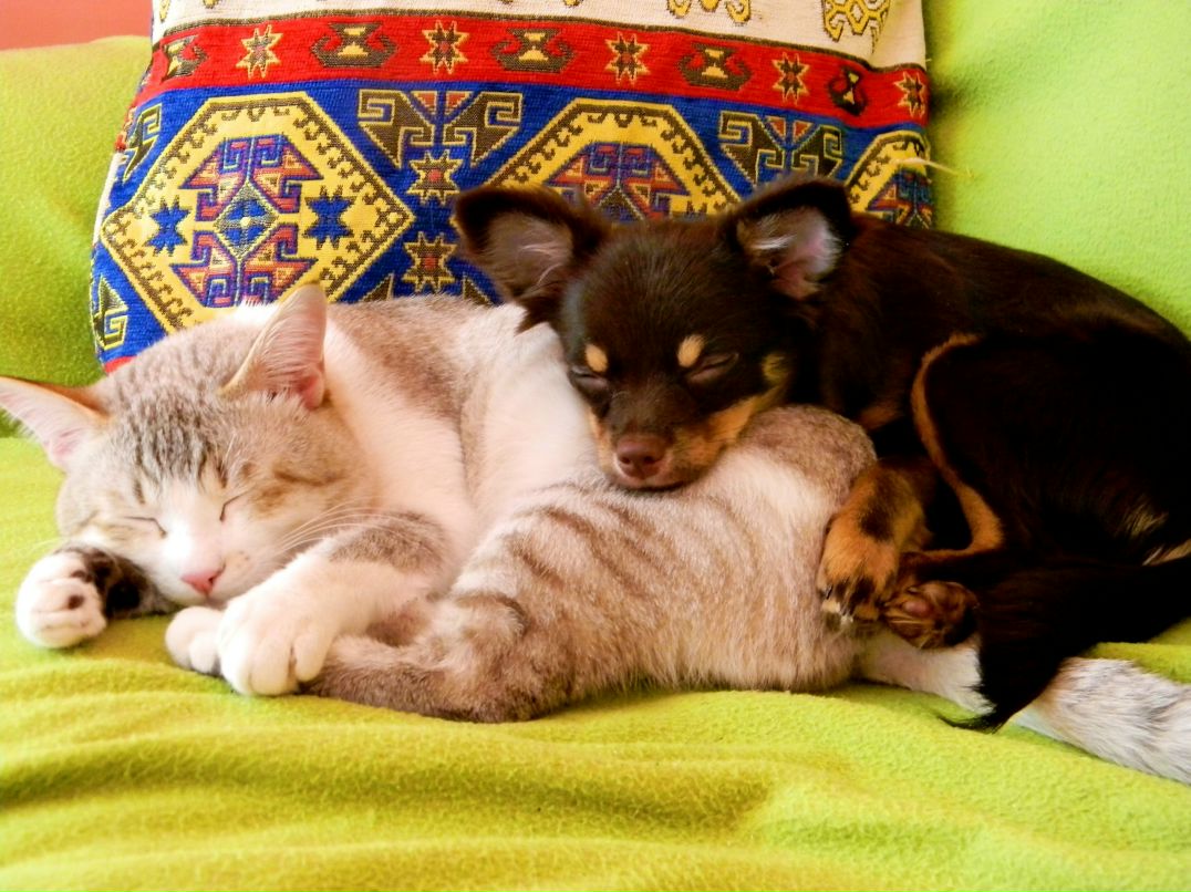 Ольга Негадова | Уфа