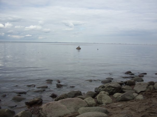 Настя Иванова | Чебоксары