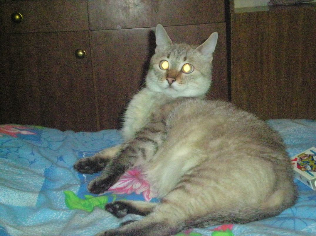 Алексей Корчевный | Череповец