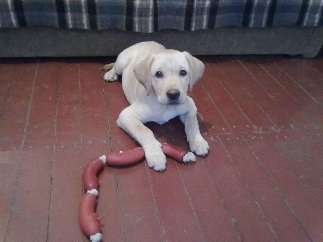 Юрка Триносов | Одесса