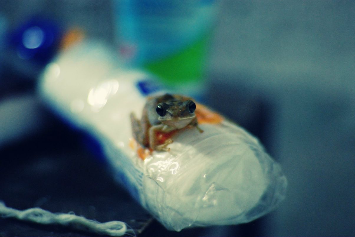 Дарья Александровна | Санкт-Петербург